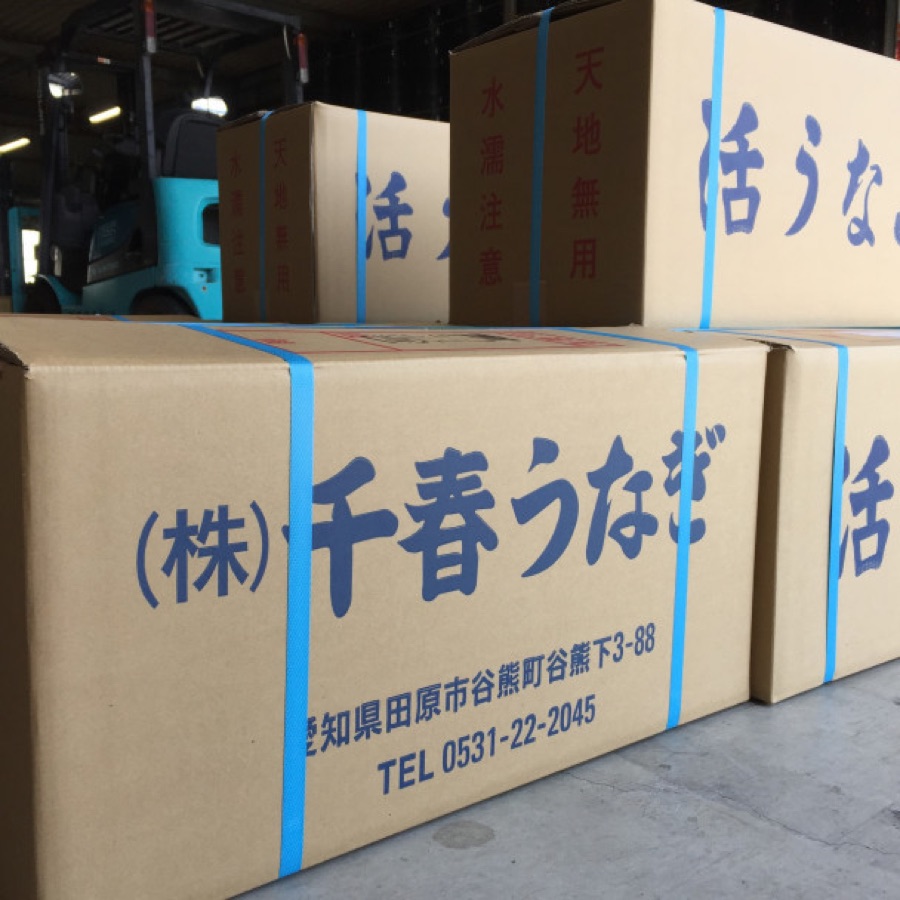 「(株)千春うなぎ」と記された活うなぎ用の出荷ダンボール